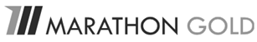 Placeholder Company logo